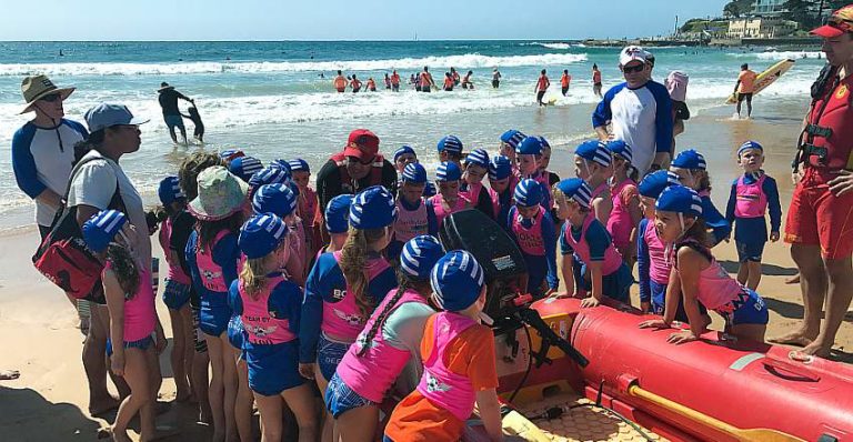 Nippers Info and Sign Up | Dee Why SLSC