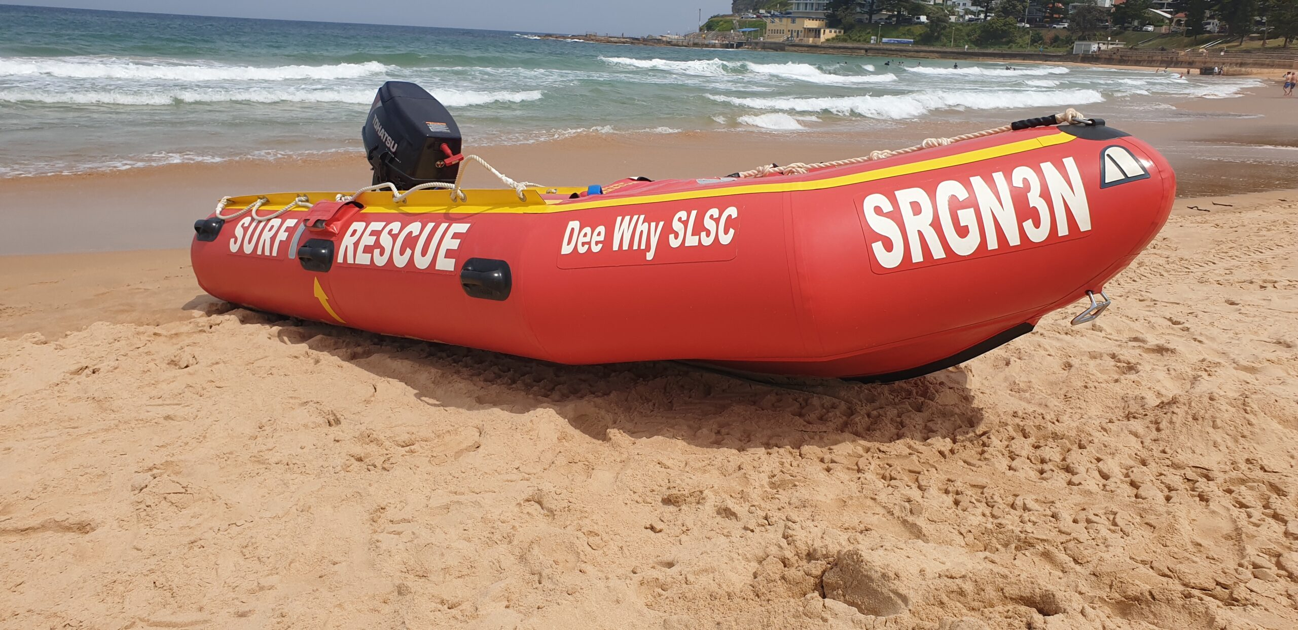 DYSLSC Newsletter - November 28 2025