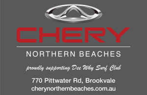 DYSLSC Sponsors
