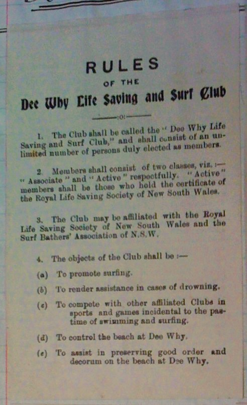 DYSLSC History